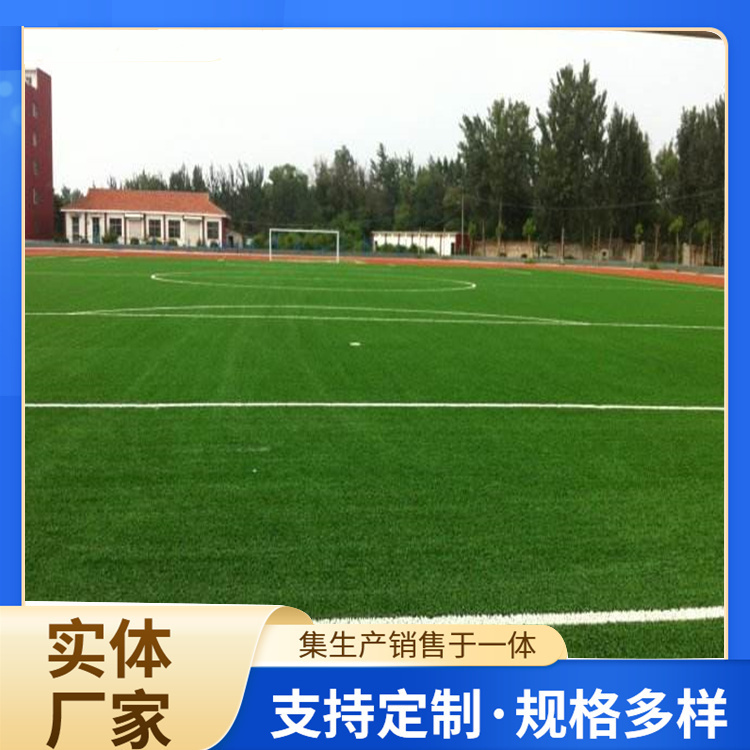 娄底市人造草坪人造草坪 - 推荐